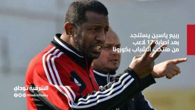 ربيع ياسين