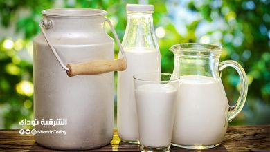 لجنة الفيروسات تكشف أهمية لبن "السرسوب" لمواجهة كورونا 6 لبن السرسوب