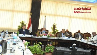 محافظ الشرقية