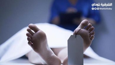 مقتل مسجل خطر وإصابة صديقه على يد الأهالي أثناء سرقتهما برتقال من حديقة بالشرقية 13 مقتل