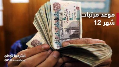 موعد مرتبات شهر 12 للعاملين في الحكومة "وهذا هو الجدول الكامل لكل وزارة " 15 موعد مرتبات شهر 12