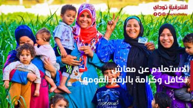 الاستعلام عن معاش تكافل وكرامة بالرقم القومي