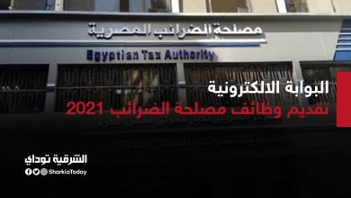 وظائف خالية فى مصلحة الضرائب 2021.. الشروط والأوراق ورابط التسجيل "إليك التفاصيل" 9 البوابة الالكترونية تقديم وظائف مصلحة الضرائب 2021