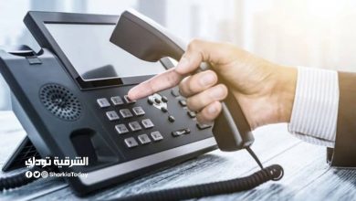 الشركة المصرية للاتصالات الاستعلام عن الفاتورة