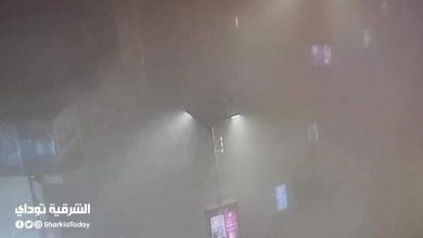 بالصور.. شبورة كثيفة تغطي الطرق وتعيق حركة المرور في الزقازيق 20 بالصور.. شبورة كثيفة تغطي الطرق وتعيق حركة المرور في الزقازيق 4