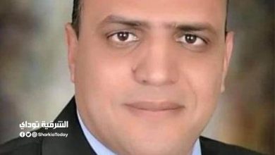 سيد خضير