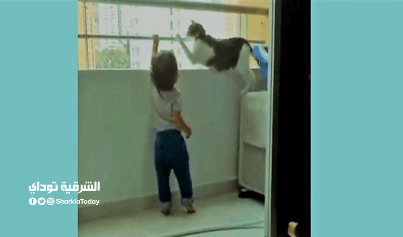 قطة تنقذ طفلًا قبل سقوطه من البلكونة