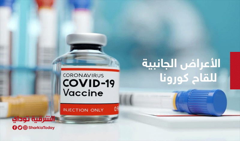لقاااح