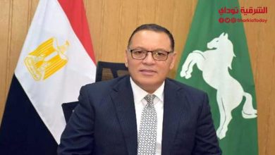 محافظ الشرقية 2