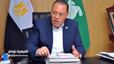 محافظ الشرقية 3