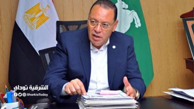 محافظ الشرقية