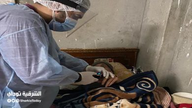 محافظ الشرقية ووكيل وزارة الصحة يتابعان أول حالات العزل المنزلي بالشرقية1