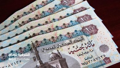صرف الدفعة الثانية من منحة العمالة الغير منتظمة 2021 في هذا الموعد "وإليكم رابط الاستعلام" 7 منحة العمالة الغير منتظمة