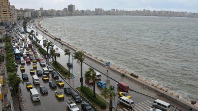 أعنفها وأخطرها.. 7 معلومات عن "نوة الكرم" التي تضرب الإسكندرية الآن 14 نوة الإسكندرية