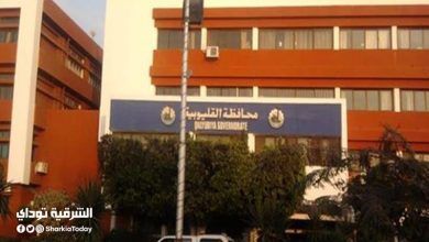 إحالة مسئولة بمجلس مدينة للتحقيق