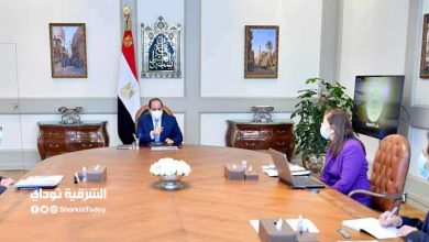 السيسي