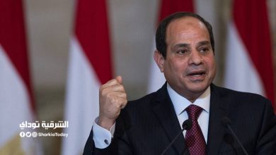 السيسي