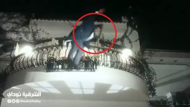 بعد مرور 21 سنة.. خطأ لم يلاحظه أحد في فيلم "بلية ودماغه العالية"
