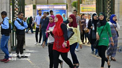 شهر زيادة.. التعليم العالي تكشف موعد امتحانات الجامعات وجدول الفصل الثاني