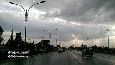 طقس بارد