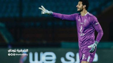 محمد الشنواي
