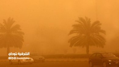 منخفض القبرصي
