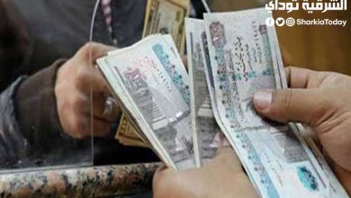 موعد صرف منحة العمالة الغير منتظمة.. الدفعة الأخيرة 3 صرف منحة العمالة الغير منتظمة
