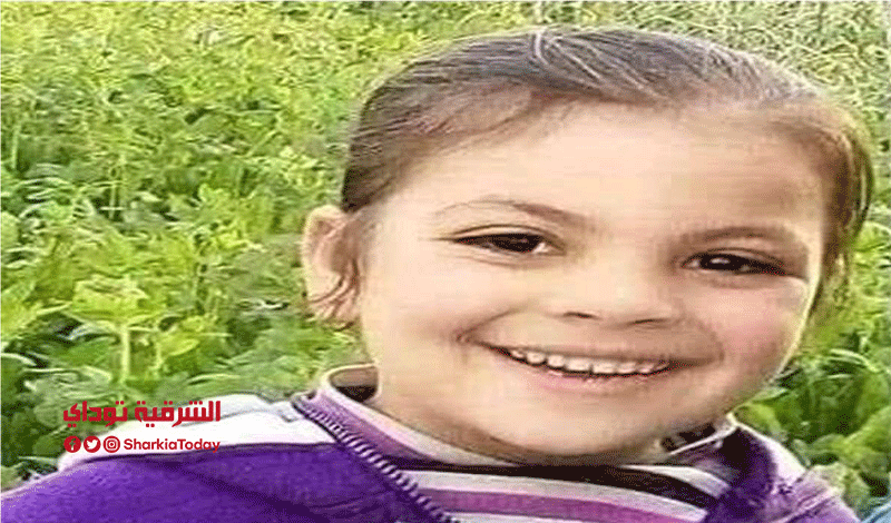 مأساة نور.. مفاجأة في قضية الطفلة المختفية منذ عام 1 نور