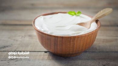 هذه أفضل 10 أطعمة على وجه الأرض 5 هذه أفضل 10 أطعمة على وجه الأرض