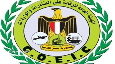 120 وظيفة خالية في الهيئة العامة للرقابة على الصادرات والواردات.. الأوراق المطلوبة وطريقة التقديم 5 120 وظيفة خالية في الهيئة العامة للرقابة على الصادرات والواردات.. الأوراق المطلوبة وطريقة التقديم