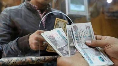 5 قرارات للعاملين بالدولة