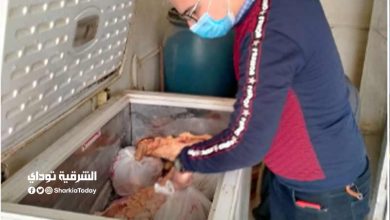 إعدام 2 طن أغذية فاسدة وغلق 14 منشأة غذائية في الشرقية 8 أطعمة فاسدة