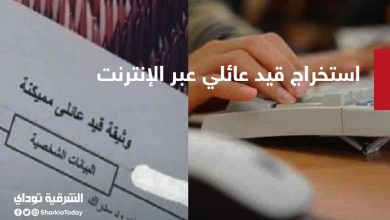 قيد عائلي