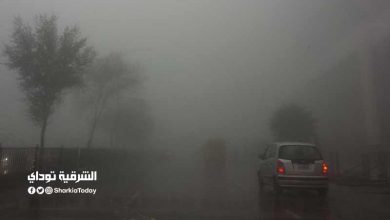 الارصاد