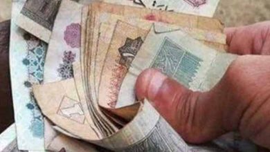 الحكومة توافق علي إقرار علاوة دورية
