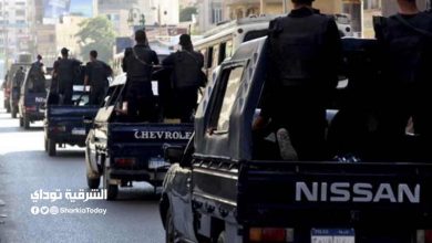 "بسبب السلايف".. شاب يقتل شقيقه في الشرقية 1 الشرقية