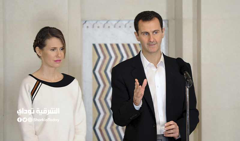 الأسد وزوجته