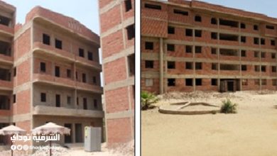 تفاصيل إنشاء مستشفى حميات فاقوس وأبو حماد