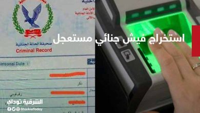 استخراج فيش جنائي