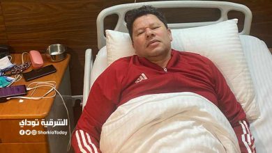 رضا عبد العال