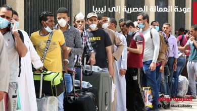 عودة العمالة المصرية إلى ليبيا