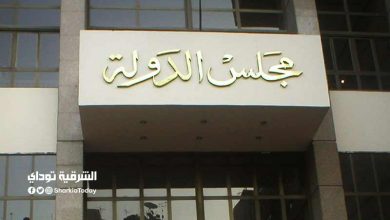 مجلس الدولة