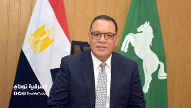 محافظ الشرقية