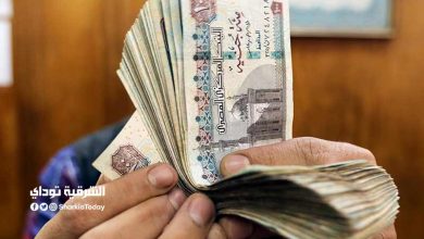 من 450 لـ1500 جنيه.. 6 جهات حكومية تصرف مكافآت للموظفين قبل رمضان