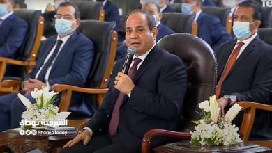 السيسي