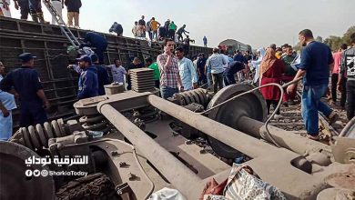 وفاة نائب رئيس هيئة قضايا الدولة في حادث قطار طوخ بالدقهلية 3 حادث قطار طوخ