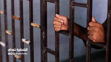 حبس عامل قتل جارته وأصاب شقيقه بجروح قطعية ببلبيس بالشرقية