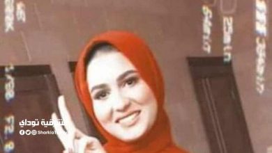 مي مراد