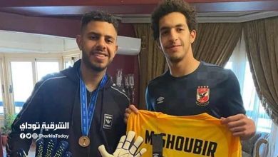أولاد شوبير