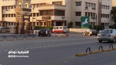 لماذا أعلنت صحة الشرقية حالة الطوارئ في جميع مستشفيات المحافظة؟؟ 3 الشرقية